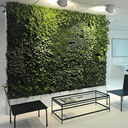 Green Walls Solutions