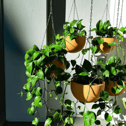 Hanging Solutions